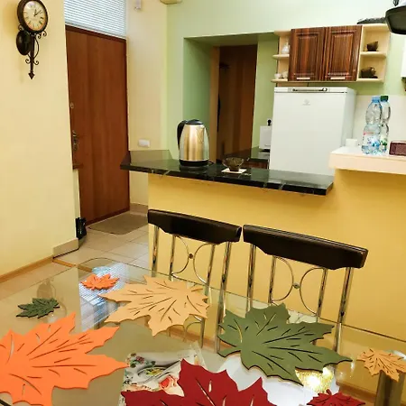 Lviv City Apartment *