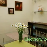 Lviv City Apartment