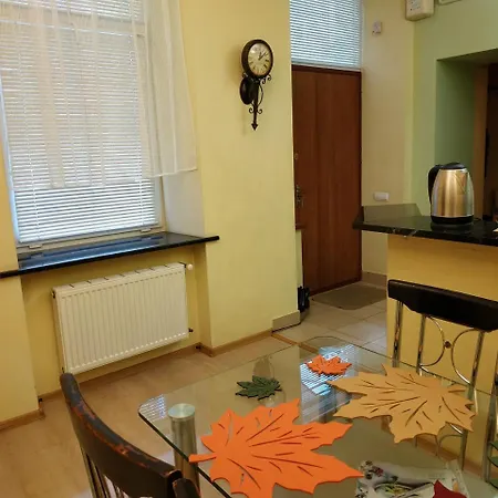 Lviv City Apartment *