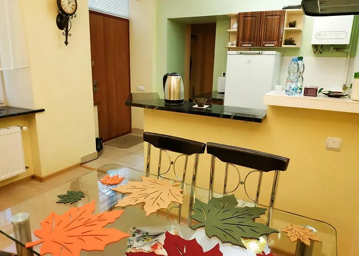Lviv City Apartment *