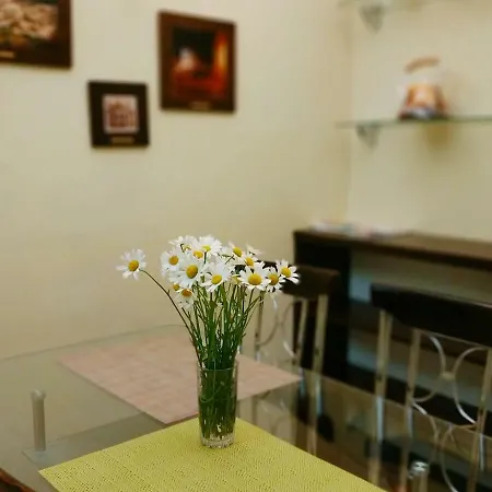 Lviv City Apartment Daire